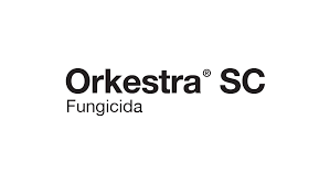 Orkestra SC